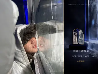 冰牆前的倒影：貼近結霜的玻璃，映出一張側臉。