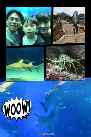 美麗海水族館：三個人擠進水槽前的同一張照片。後面的鯨鯊照自己的速度游過去。